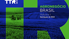 Setor do Agronegcio no Brasil